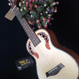 Đàn Ukulele Concert MT-1000 CB2