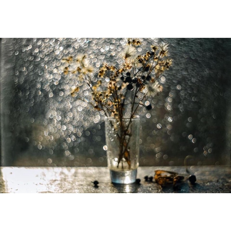 Ống kính MF Pentacon 50/1.8 ngàm M42