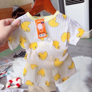 Bộ cộc tay cho bé