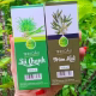 Combo tinh dầu tràm, tinh dầu sả chanh