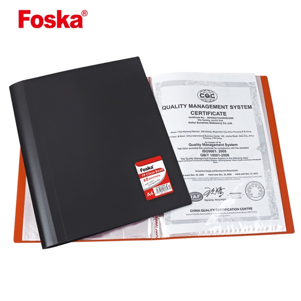 File 10 lá dẻo (bìa 10 lá) Foska F100-10