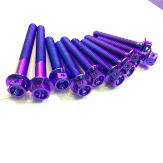 Bộ ốc lốc máy GR5 Titanium 10 con mẫu đầu Probolt cho Vario 2017 , 2018