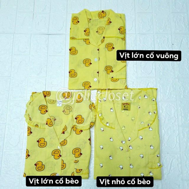 Joliecloset Đồ ngủ Pijama Vịt Vàng có bigsize, Cập nhật mẫu mới liên tục từ Thái Lan | BigBuy360 - bigbuy360.vn
