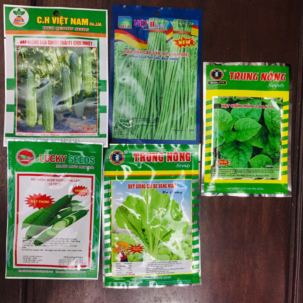 Hạt giống rau các loại, hạt giống khoẻ dễ trồng tại nhà, an toàn cho gia đình, rau sạch quả tươi