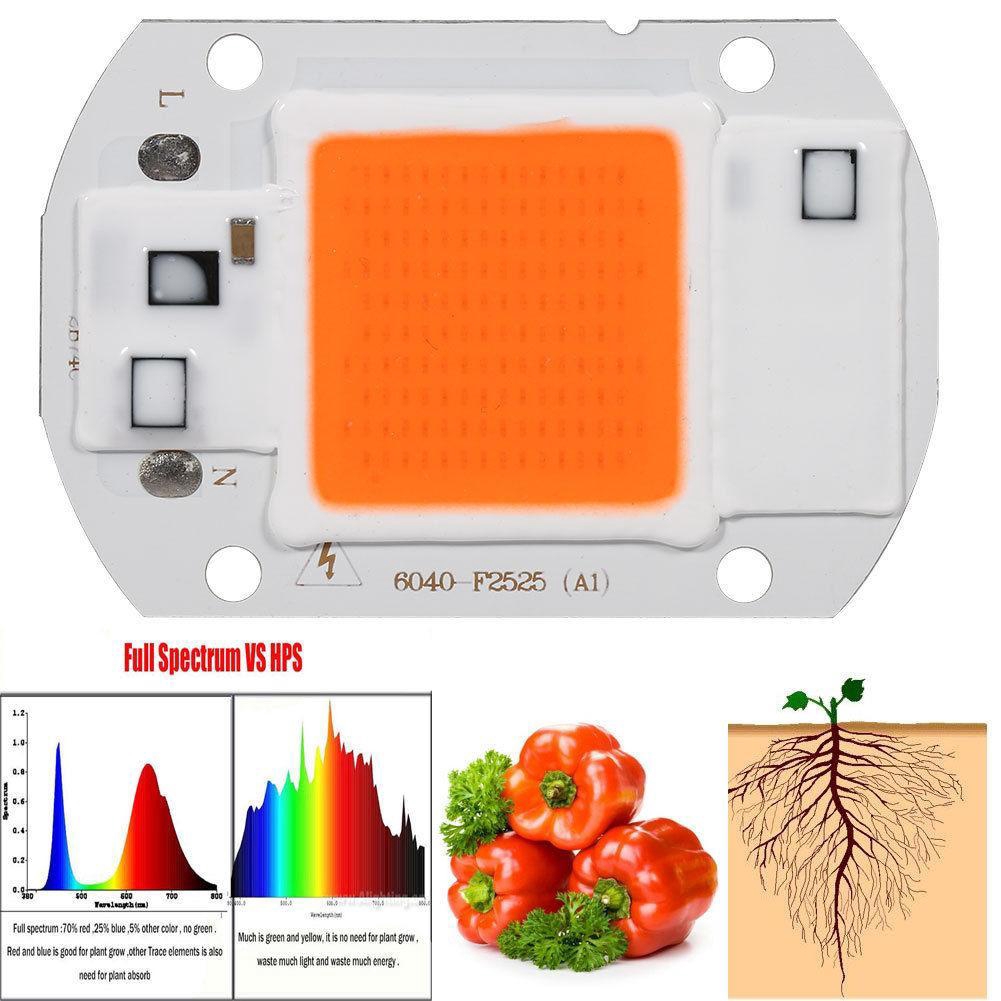 Chip LED COB toàn quang phổ công suất 20W/30W/50W điện áp 220/110V  dùng trồng cây tiện dụng