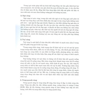 Sách - Phẫu Thuật Trong Miệng - Tập 2 (Dùng Cho Sinh Viên Chuyên Khoa Răng Hàm Mặt)