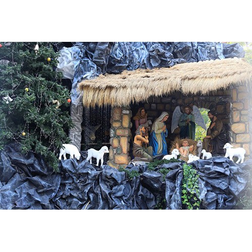 Lá tranh trang trí Noel cao 1m x dài 6m giá 150k