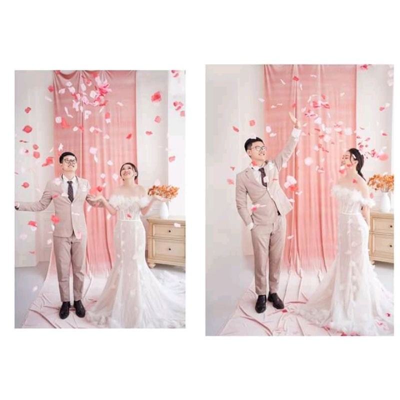 1000 Cánh hoa giả, chụp hình, trang trí.