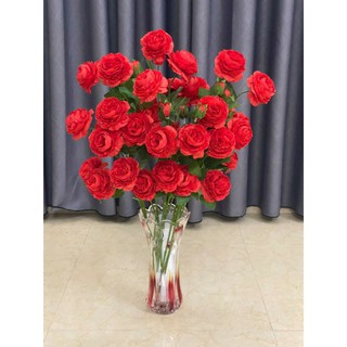 cành trà mao 2 bông 1 nụ