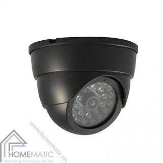 Camera mô hình cảm biến ánh sáng CAFV6