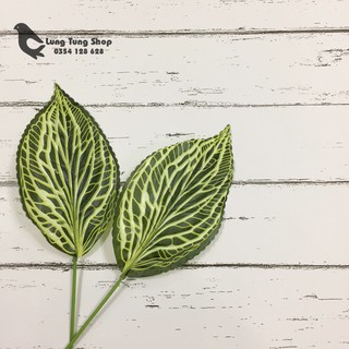 Lá cây đạo cụ chụp hình sản phẩm ( mẫu lá cây 2 )