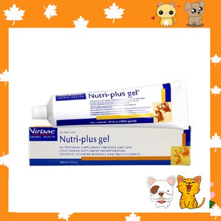 Dinh dưỡng chó mèo nhập khẩu - Nutri Plus Gel