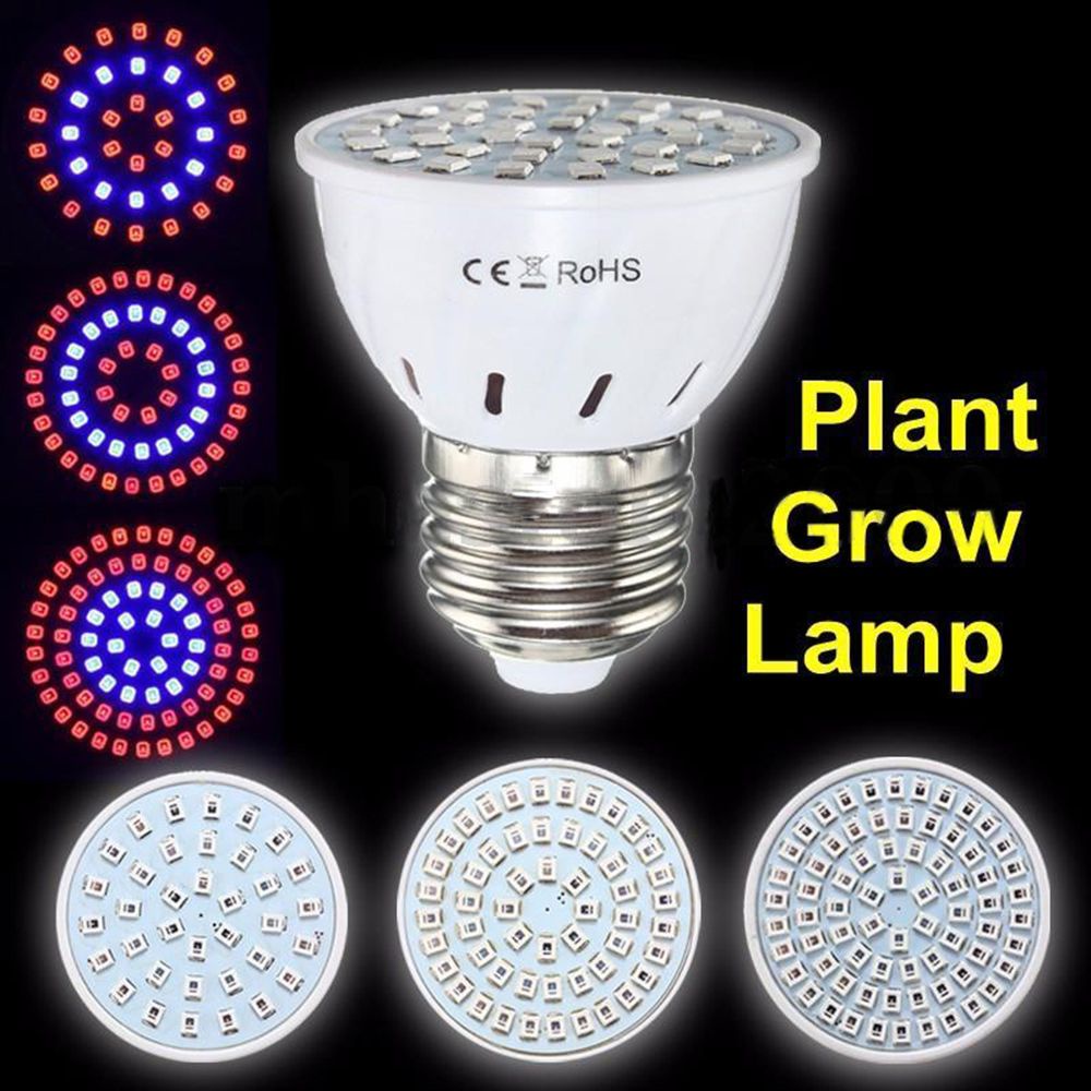 Đèn Led Trồng Cây Thủy Canh E27 / Gu10 / Mr16 Yard 36 / 54 / 72 Bóng