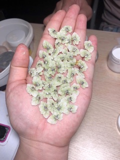 Hoa bột nail (ôm móng cực đẹp ) có nhiều màu khách lựa chọn