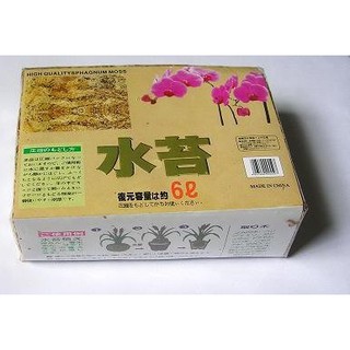 Giá thể rêu khô - Dớn Trắng Chile 100Gr  giữ ẩm cho tháp cây đứng terraplanter - REUCHILE