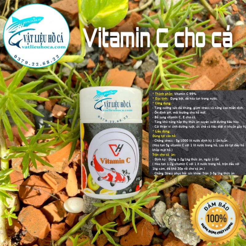 Vitamin c cho cá | hủ 50g