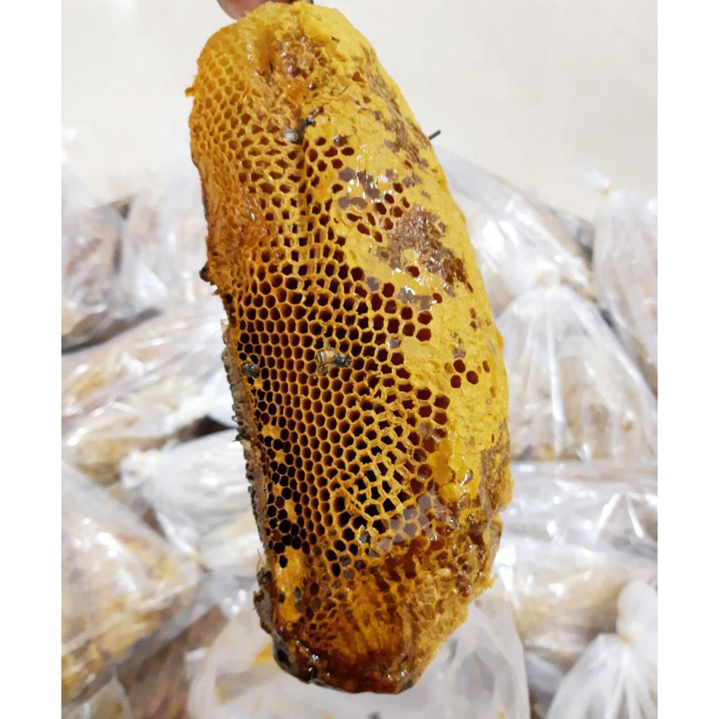 [Cam kết chuẩn 100%] 1kg Mật ong ruồi nguyên tổ Tây nguyên 1kg