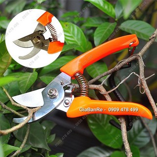 Mua Kéo Cắt Cành Inox 7 Inch Cao Cấp - Top Taiwan - 6194