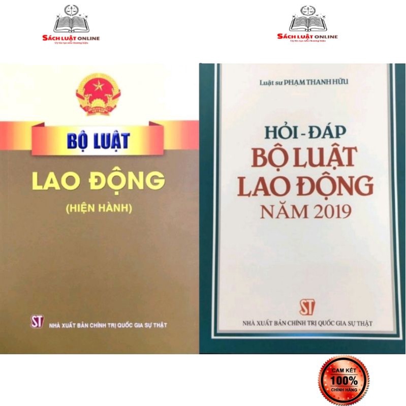 Sách - Combo 2 cuốn Bộ luật Lao động (hiện hành) + Hỏi - đáp Bộ luật Lao động năm 2019