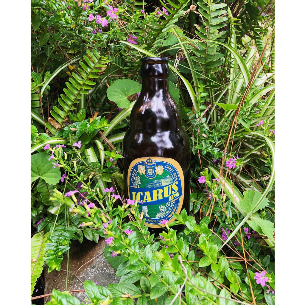 Pack 2 chai bia tươi thủ công Icarus IPA (Craft Beer Icarus IPA) - Độ cồn 6% - Độ đắng 40