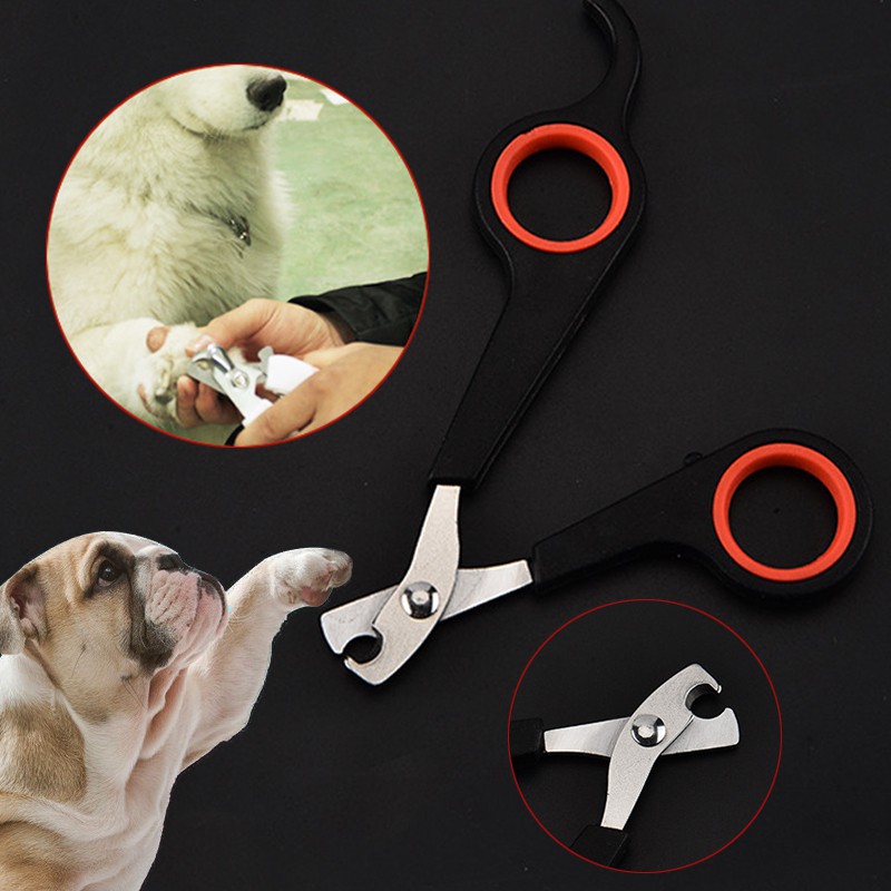 Kéo Cắt Móng Cho Thú Cưng