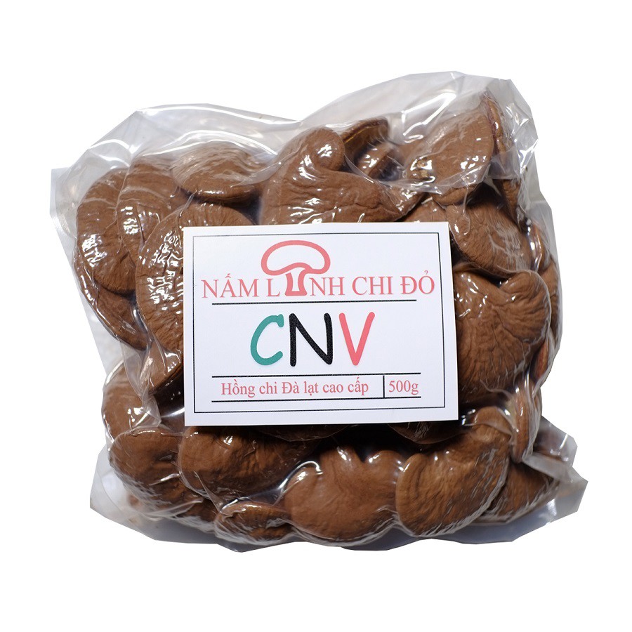 Nấm linh chi đỏ Đà Lạt cao cấp CNV 500g (Hồng chi)