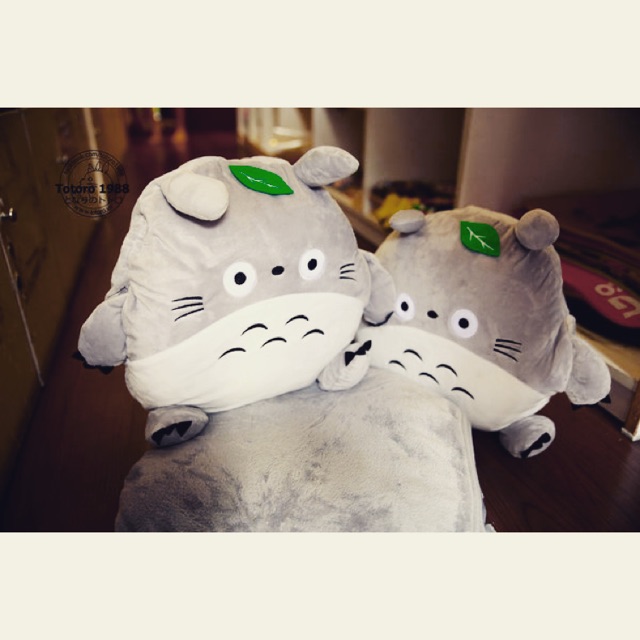 4in1 totoro có tay chân