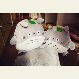 4in1 totoro có tay chân