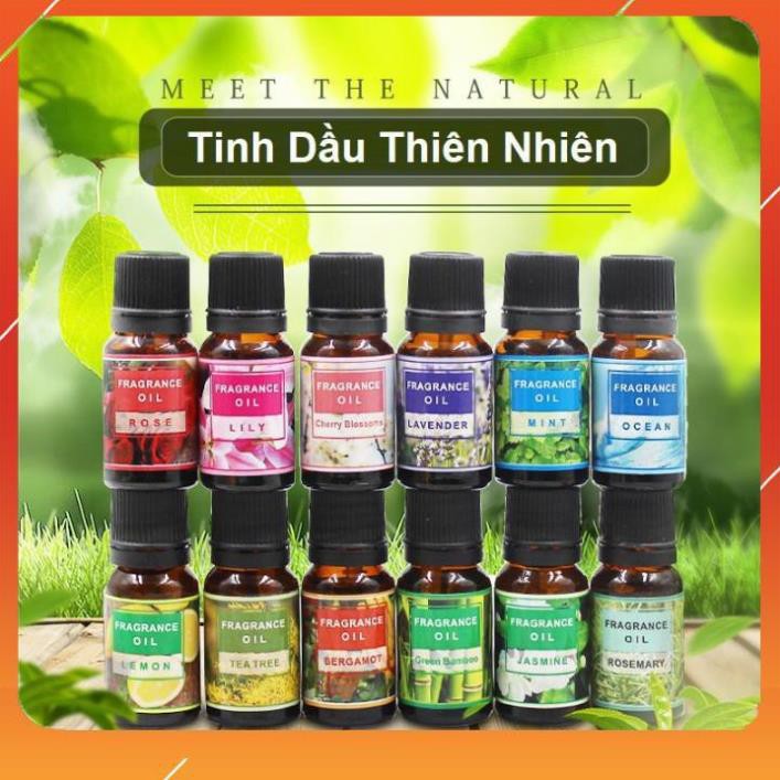 Lọ 10ml Tinh Dầu Thiên Nhiên Nguyên Chất Nhiều Mùi Thơm Phòng Giúp Bạn Thư Giãn Sảng Khoái Mỗi Ngày