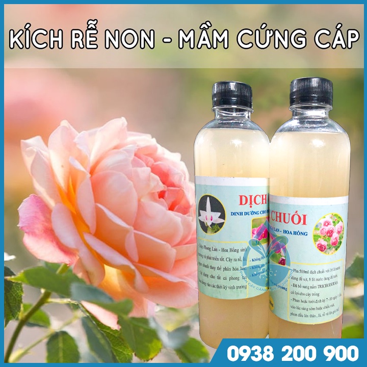 Dịch chuối vi sinh đậm đặc chai 500ml dùng tưới rau, hoa hồng, hoa mai, hoa lan