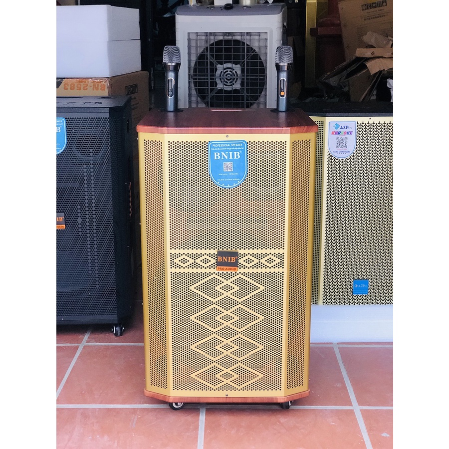 Loa kéo BNIB BASS 40, 3 đường tiếng Tặng 2 micro cao cấp