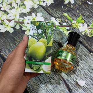 TINH DẦU BƯỞI GRAPEFRUIT TRỊ RỤNG TÓC - KÍCH THÍCH MỌC TÓC
