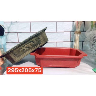 Chậu nhựa chữ nhật trồng cây