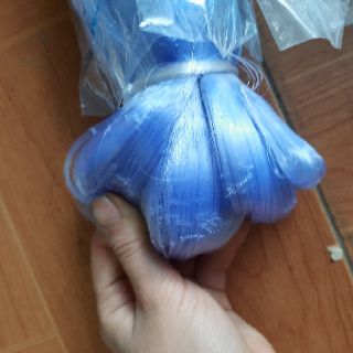 Ruột lưới thái