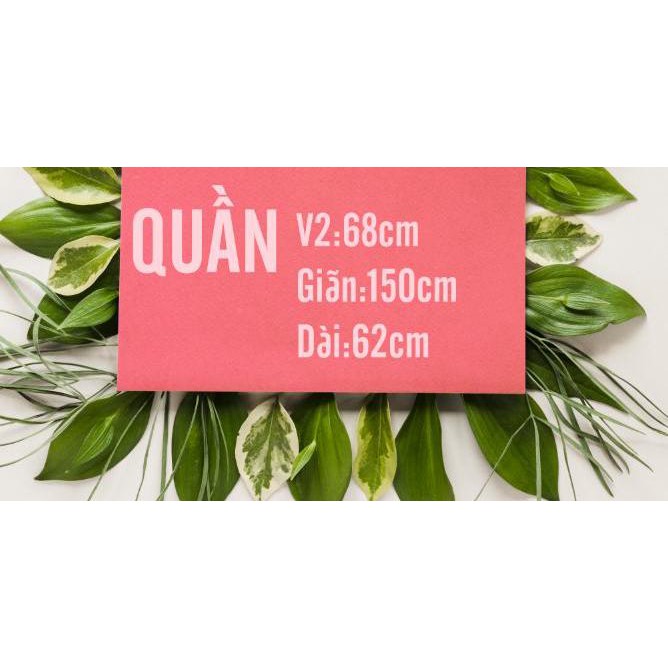 quần ngố unisex form bí 50-100kg | WebRaoVat - webraovat.net.vn