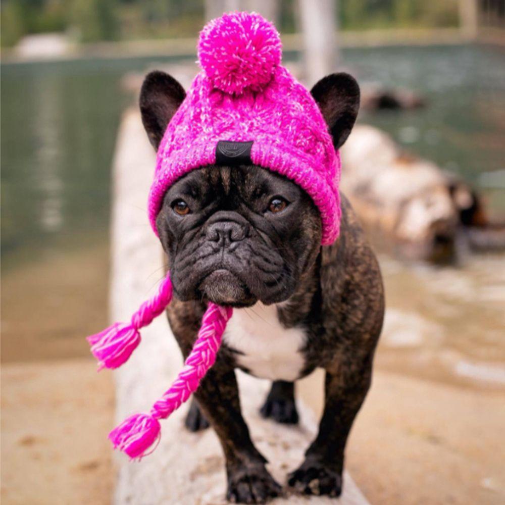 GIOVANNI Mũ Mềm Mại Chống Gió Giữ Ấm Cho Thú Cưng