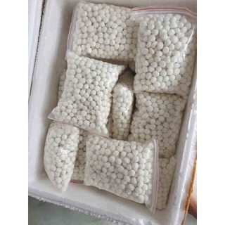 BỘT LỌC VIÊN DỪA