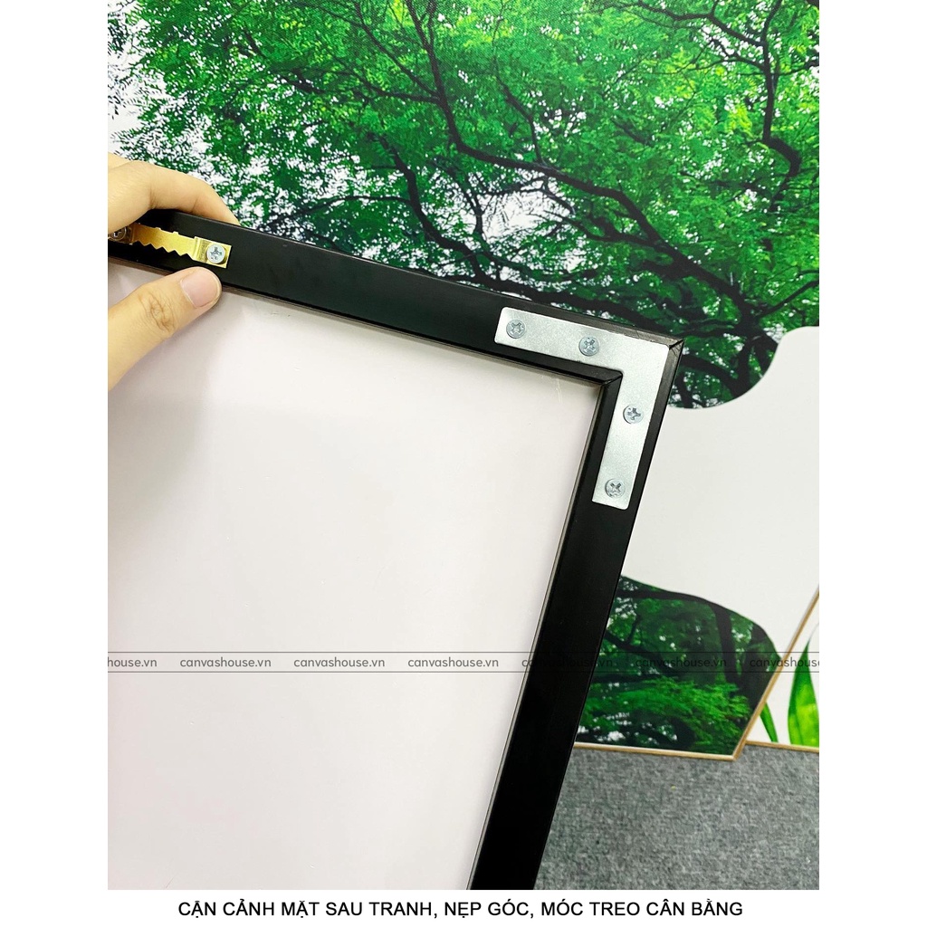 Tranh Canvas Hoa Mộc Lan Giả Ngọc  - The Canvas House