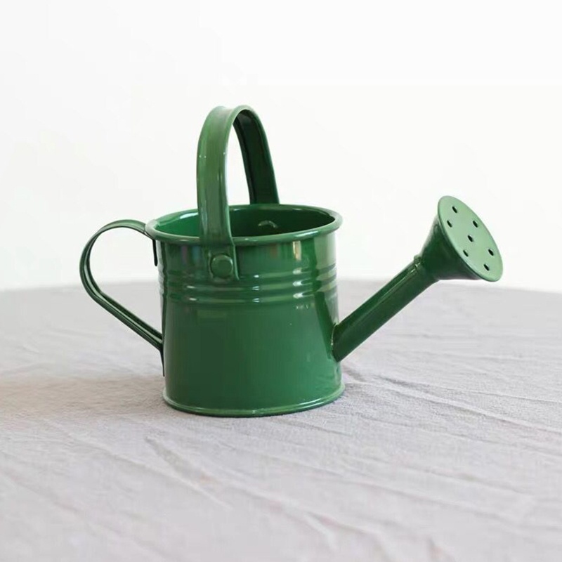 Bình Tưới Cây Mini Có Tay Cầm Màu Sắc Ngọt Ngào Tiện Dụng