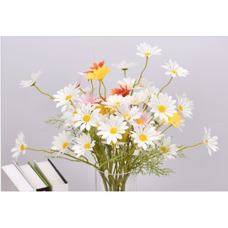 Cành hoa cúc họa mi giả đẹp trang trí bàn làm việc