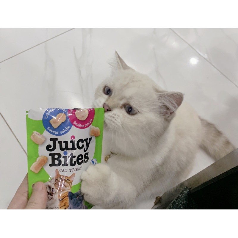 [Giao ngay HỎA TỐC] Bánh thưởng Inaba Juicy Bites cho mèo nhiều vị - Bánh thưởng Juicy Bites gói cho mèo