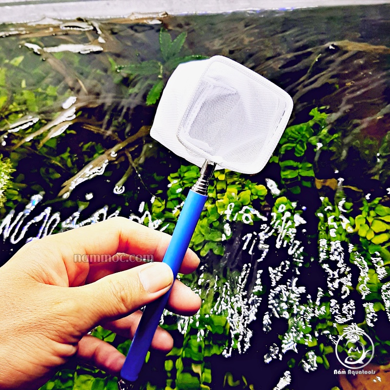 Vợt Tép 3D inox - Vợt Tép Xếp Khúc Nhỏ Gọn | Phụ Kiện Thuỷ Sinh Nấm Aquatools