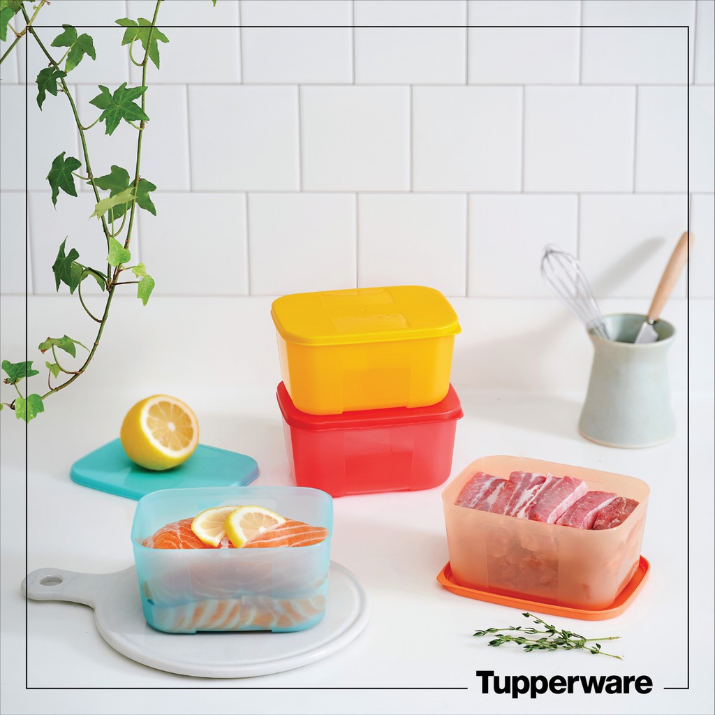 Bộ Hộp Trữ Đông Freezermate Rainbow 650ML Tupperware (4 cái), Hộp Trữ Đông Thức Ăn Ngăn Đá Tủ Lạnh