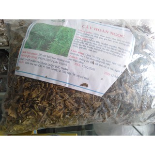 Cây Hoàn Ngọc 1kg