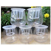 ComBo 2 Chậu Nhựa Trồng Cây Thủy Sinh, Kích Thước 10x10x13Cm