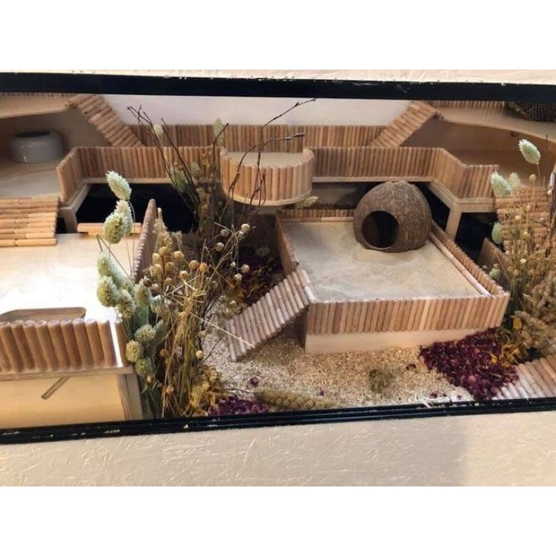 Chốt gỗ decor chuồng hamster, lồng hamster kích thước 8*40mm