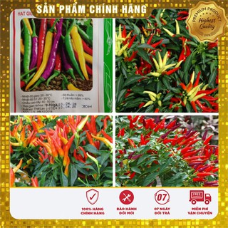 Hạt giống ớt chỉ thiên nhiều màu - 30 hạt