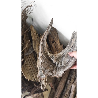Gỗ lũa san đá miếng SL 1KG
