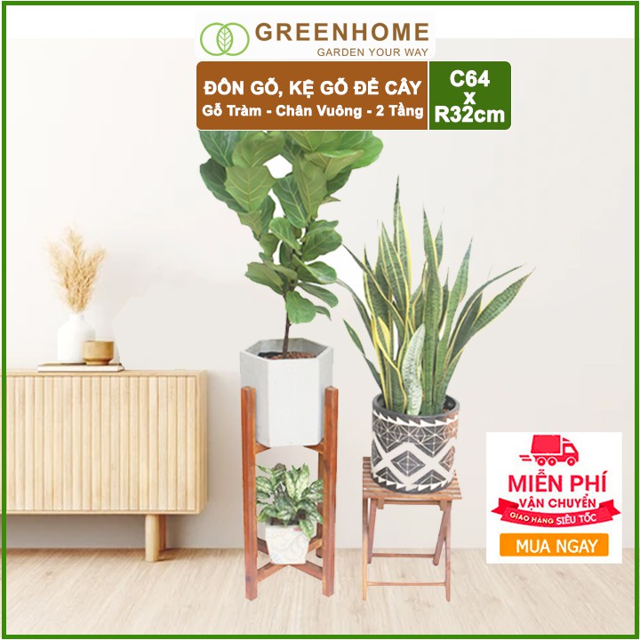 [FREESHIP 70K] Đôn gỗ, kệ kê chậu cây nội thất 2 tầng bằng gỗ Tràm C64x32cm 🎁Tặng kèm dĩa lót D27cm🎁