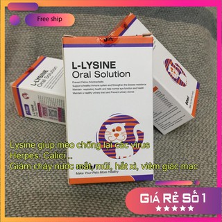 L-Lysine cho mèo bị hô hấp, herpes mèo